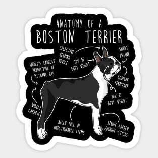 Boston Terrier Dog Anatomy Sticker